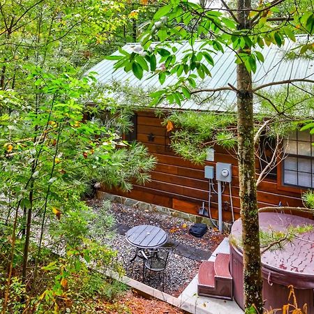 Etowah Villa Blue Ridge Kültér fotó