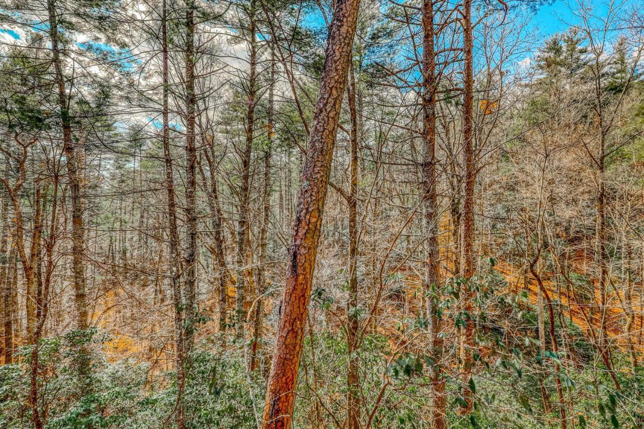 Etowah Villa Blue Ridge Kültér fotó